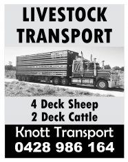 Knott Transport